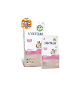 Une nutrition complète au poulet pour accompagner chaque étape de la croissance du chaton.