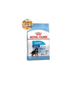 Des croquettes premium spécialement conçues pour soutenir la croissance, l'immunité et la digestion des chiots de grande race.