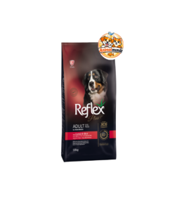 Des croquettes super premium au saumon et prébiotiques XOS, spécialement conçues pour garantir la vitalité, le confort digestif et l'éclat du pelage des chats adultes.
