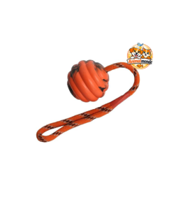 Un jouet robuste en corde et caoutchouc pour des séances de jeu stimulantes, amusantes et durables.