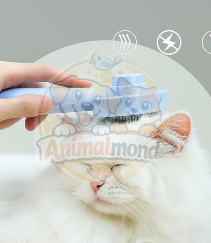 La brosse idéale pour éliminer les poils morts et garder le pelage de votre chien ou chat propre, sain et brillant.