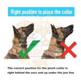 Le Collier Étrangleur à Griffes pour Chien est un accessoire de dressage conçu pour aider à corriger les comportements de traction lors des promenades. Fabriqué en acier inoxydable robuste avec finition chromée, il offre une excellente résistance à l’usure et à la corrosion. Son système à maillons amovibles permet d’ajuster facilement la taille du collier en fonction du tour de cou du chien. Les extrémités des griffes sont protégées par des embouts afin d'améliorer le confort de l’animal. Convient particulièrement aux chiens de taille moyenne à grande lorsqu'il est utilisé de manière responsable et sous surveillance. Avantages : > Acier inoxydable résistant : Durable et anticorrosion. Taille ajustable : Maillons amovibles pour un ajustement personnalisé. Embouts de protection : Confort amélioré pour le chien. Anneau solide pour laisse : Fixation sécurisée et fiable. Idéal pour le dressage : Aide à limiter les tractions excessives.