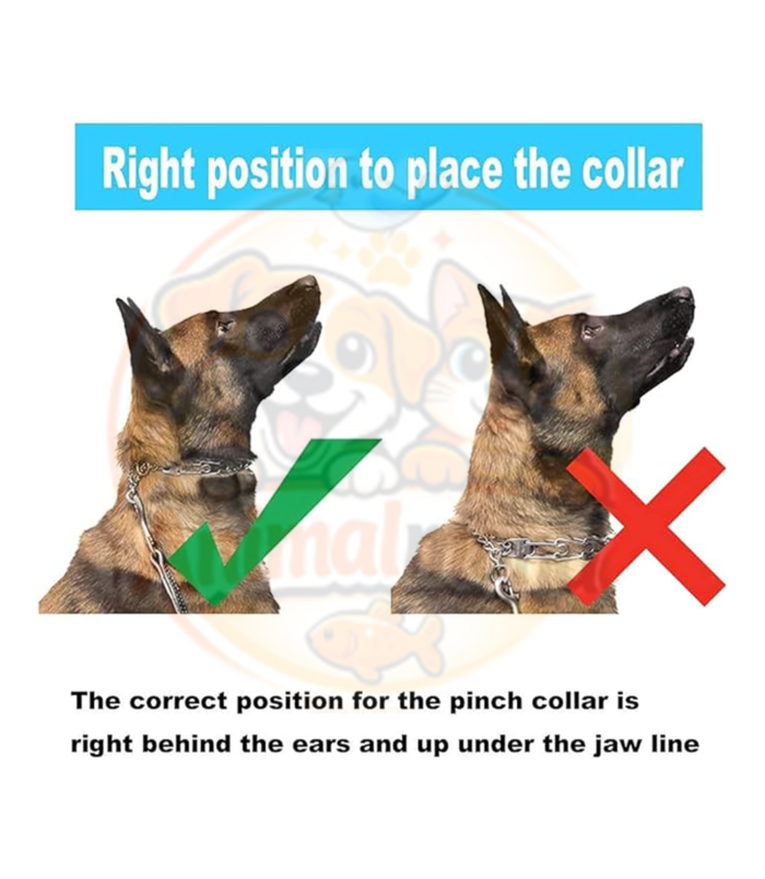 Le Collier Étrangleur à Griffes pour Chien est un accessoire de dressage conçu pour aider à corriger les comportements de traction lors des promenades. Fabriqué en acier inoxydable robuste avec finition chromée, il offre une excellente résistance à l’usure et à la corrosion. Son système à maillons amovibles permet d’ajuster facilement la taille du collier en fonction du tour de cou du chien. Les extrémités des griffes sont protégées par des embouts afin d'améliorer le confort de l’animal. Convient particulièrement aux chiens de taille moyenne à grande lorsqu'il est utilisé de manière responsable et sous surveillance. Avantages : > Acier inoxydable résistant : Durable et anticorrosion. Taille ajustable : Maillons amovibles pour un ajustement personnalisé. Embouts de protection : Confort amélioré pour le chien. Anneau solide pour laisse : Fixation sécurisée et fiable. Idéal pour le dressage : Aide à limiter les tractions excessives.