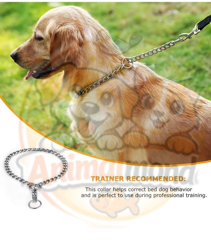 Collier étrangleur en chaîne d’acier inoxydable pour chien, robuste, résistant aux intempéries et adapté au dressage ainsi qu’au contrôle pendant les promenades.