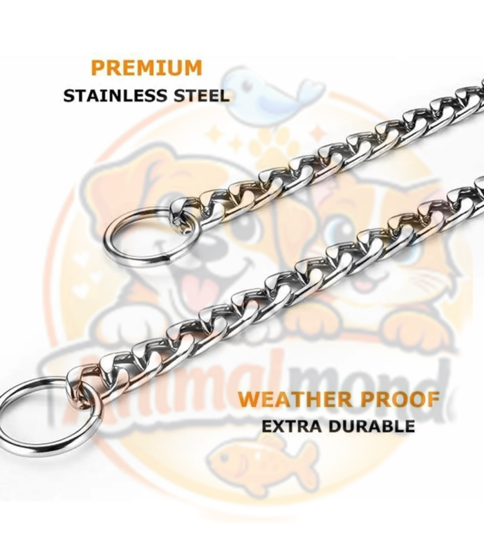 Collier étrangleur en chaîne d’acier inoxydable pour chien, robuste, résistant aux intempéries et adapté au dressage ainsi qu’au contrôle pendant les promenades.
