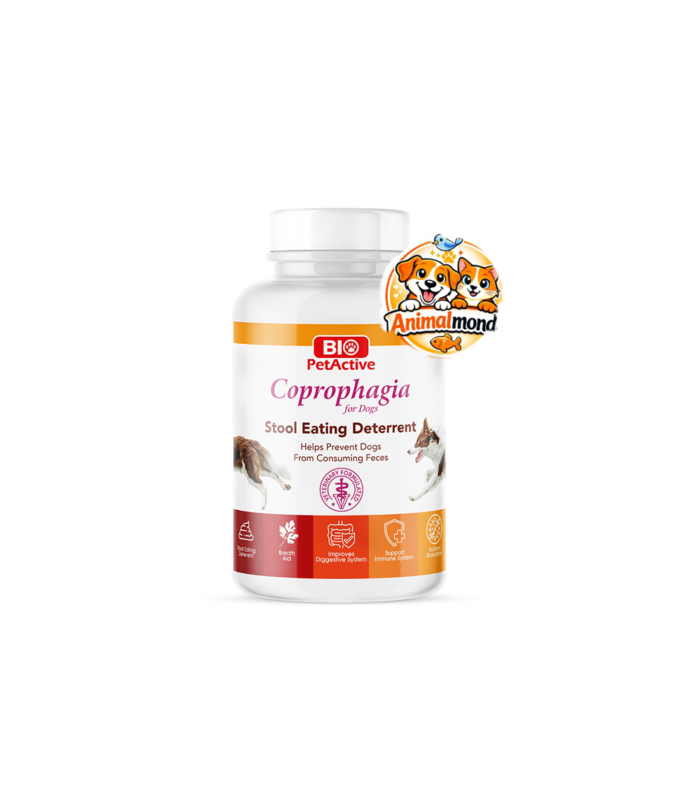 Un complément vétérinaire spécialement formulé pour décourager la coprophagie tout en soutenant la digestion et la santé globale du chien.