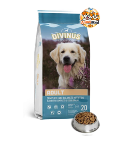 Une alimentation complète et équilibrée pour maintenir votre chien adulte en pleine santé au quotidien.
