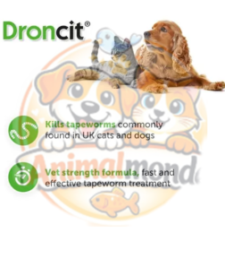 Un vermifuge vétérinaire efficace contre les ténias pour protéger durablement la santé digestive des chats et des chiens.