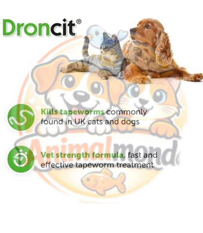 Un vermifuge vétérinaire efficace contre les ténias pour protéger durablement la santé digestive des chats et des chiens.