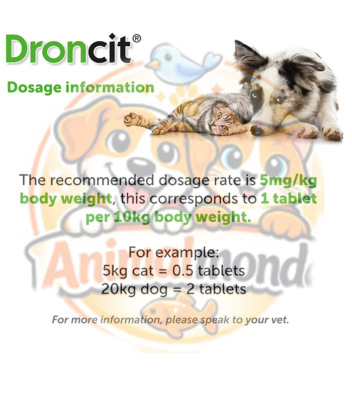 Un vermifuge vétérinaire efficace contre les ténias pour protéger durablement la santé digestive des chats et des chiens.