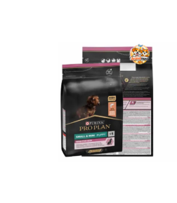 Une nutrition premium au saumon spécialement conçue pour les chiots de petite taille à peau sensible, favorisant croissance, confort et pelage éclatant.