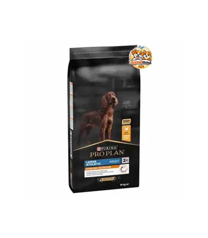 Une alimentation premium conçue pour les chiens adultes de grandes races athlétiques afin de soutenir leur énergie, leur musculature et leur mobilité au quotidien.