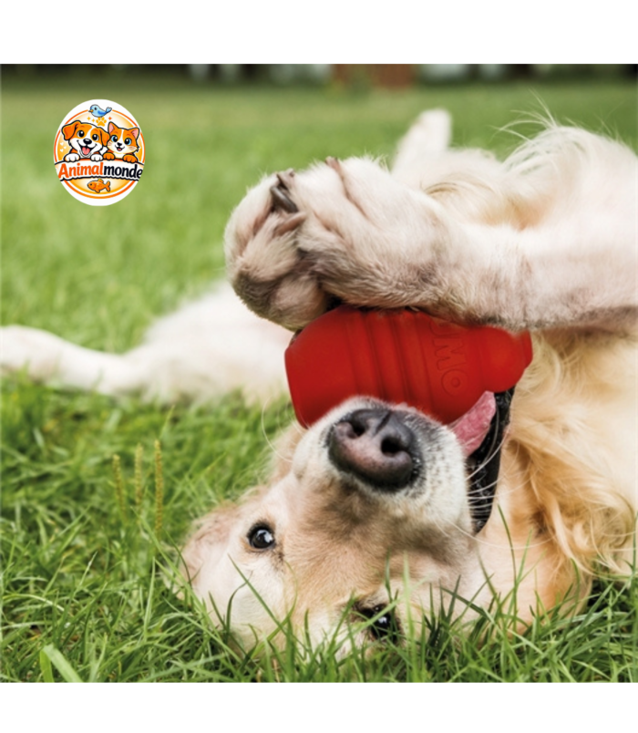 Riga Sumo Mega Strong Jouet pour Chien