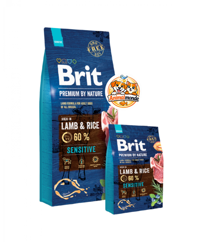 Croquettes hypoallergéniques premium à l'agneau et au riz pour chiens adultes sensibles, assurant digestion douce et peau saine.