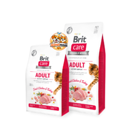 Croquettes hypoallergéniques sans céréales au poulet et à la dinde frais, idéales pour soutenir l'énergie et les articulations des chats adultes actifs.