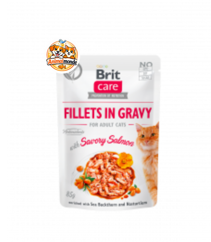 Sachet fraîcheur de délicieux filets de saumon en sauce sans céréales, enrichi en oméga-3 et antioxydants pour chats adultes.