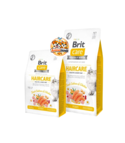 Croquettes hypoallergéniques sans céréales au saumon frais, conçues pour l'immunité et la digestion délicate des chatons.